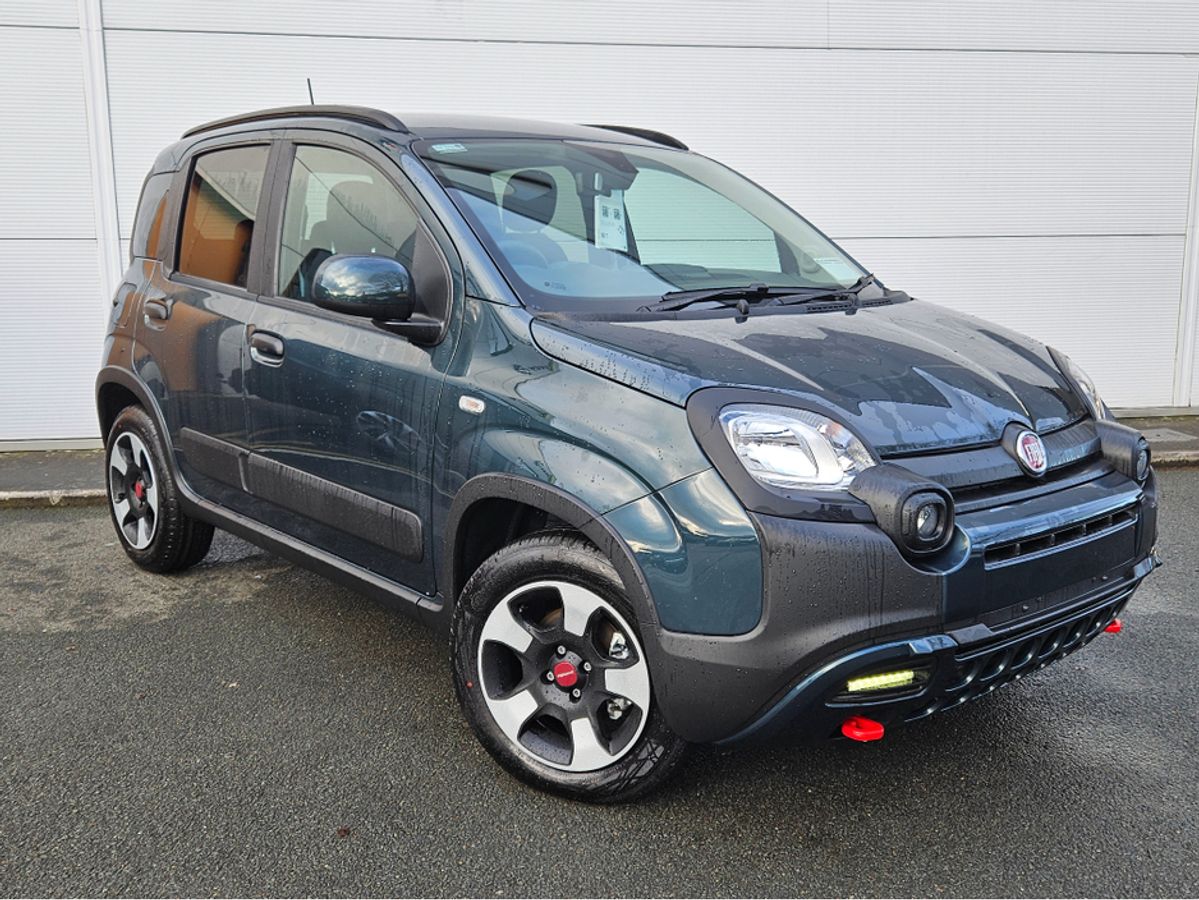 Used Fiat Panda 2025 in Wicklow