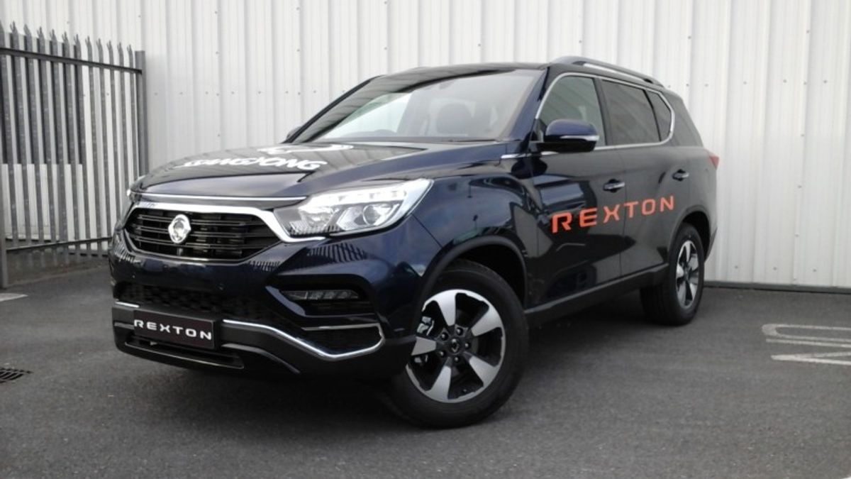 Used SsangYong Rexton 2019 in Waterford