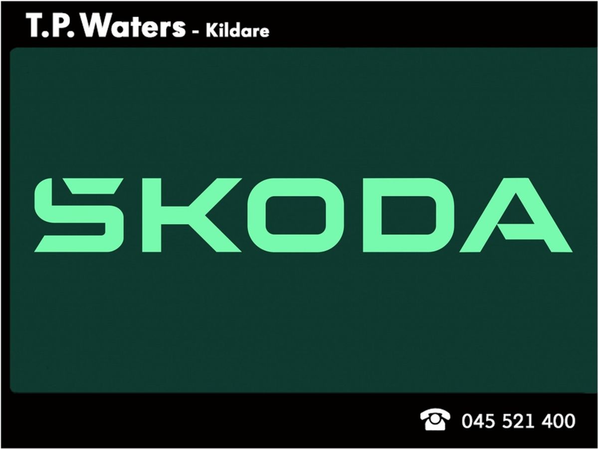 Used Skoda Rapid 2018 in Kildare
