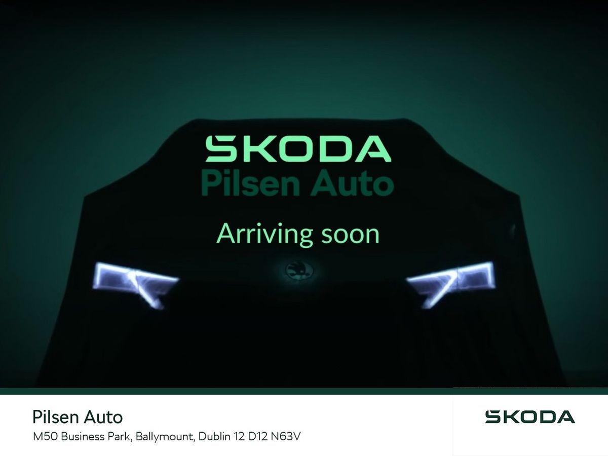 Used Skoda Fabia 2019 in Dublin